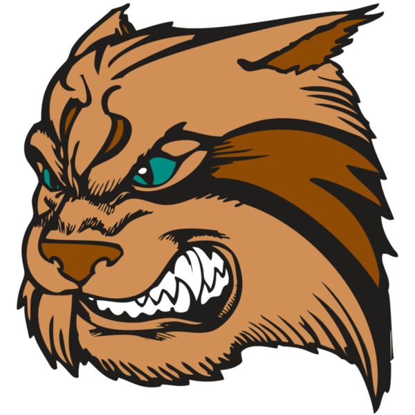 BAW WILDCAT 05 RC Thumbnail