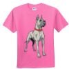 DryBlend® Youth 5.6 oz., 50/50 T-Shirt Thumbnail