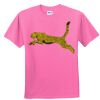 DryBlend® Youth 5.6 oz., 50/50 T-Shirt Thumbnail