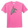 DryBlend® Youth 5.6 oz., 50/50 T-Shirt Thumbnail