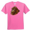 DryBlend® Youth 5.6 oz., 50/50 T-Shirt Thumbnail