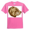 DryBlend® Youth 5.6 oz., 50/50 T-Shirt Thumbnail