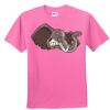 DryBlend® Youth 5.6 oz., 50/50 T-Shirt Thumbnail