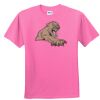 DryBlend® Youth 5.6 oz., 50/50 T-Shirt Thumbnail