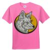 DryBlend® Youth 5.6 oz., 50/50 T-Shirt Thumbnail