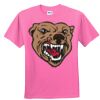 DryBlend® Youth 5.6 oz., 50/50 T-Shirt Thumbnail