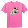 DryBlend® Youth 5.6 oz., 50/50 T-Shirt Thumbnail