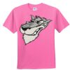 DryBlend® Youth 5.6 oz., 50/50 T-Shirt Thumbnail