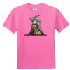 DryBlend® Youth 5.6 oz., 50/50 T-Shirt Thumbnail