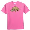 DryBlend® Youth 5.6 oz., 50/50 T-Shirt Thumbnail