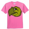DryBlend® Youth 5.6 oz., 50/50 T-Shirt Thumbnail