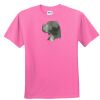 DryBlend® Youth 5.6 oz., 50/50 T-Shirt Thumbnail