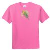 DryBlend® Youth 5.6 oz., 50/50 T-Shirt Thumbnail