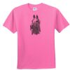 DryBlend® Youth 5.6 oz., 50/50 T-Shirt Thumbnail