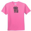 DryBlend® Youth 5.6 oz., 50/50 T-Shirt Thumbnail