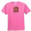 DryBlend® Youth 5.6 oz., 50/50 T-Shirt Thumbnail