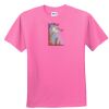 DryBlend® Youth 5.6 oz., 50/50 T-Shirt Thumbnail