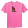 DryBlend® Youth 5.6 oz., 50/50 T-Shirt Thumbnail