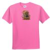 DryBlend® Youth 5.6 oz., 50/50 T-Shirt Thumbnail