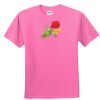 DryBlend® Youth 5.6 oz., 50/50 T-Shirt Thumbnail