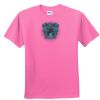 DryBlend® Youth 5.6 oz., 50/50 T-Shirt Thumbnail