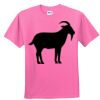DryBlend® Youth 5.6 oz., 50/50 T-Shirt Thumbnail