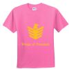 DryBlend® Youth 5.6 oz., 50/50 T-Shirt Thumbnail