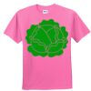 DryBlend® Youth 5.6 oz., 50/50 T-Shirt Thumbnail