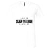 Bella Canvas Unisex Jersey Short-Sleeve V-Neck T-Shirt Thumbnail