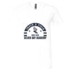 Bella Canvas Unisex Jersey Short-Sleeve V-Neck T-Shirt Thumbnail