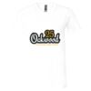 Bella Canvas Unisex Jersey Short-Sleeve V-Neck T-Shirt Thumbnail