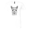Bella Canvas Unisex Jersey Short-Sleeve V-Neck T-Shirt Thumbnail